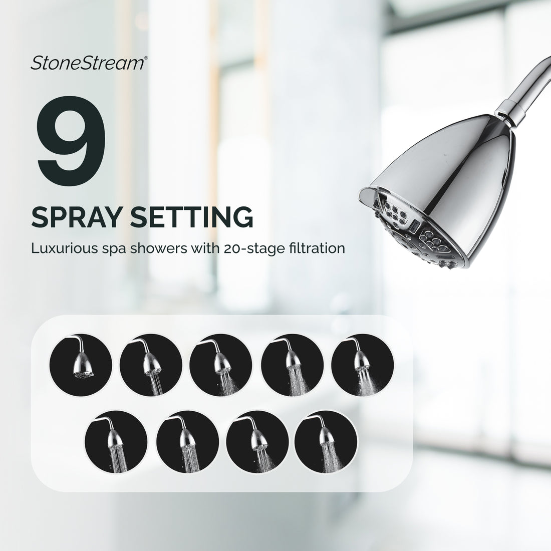 20-Stage Filtration Multi-Mode Ecolux Wall Shower Head