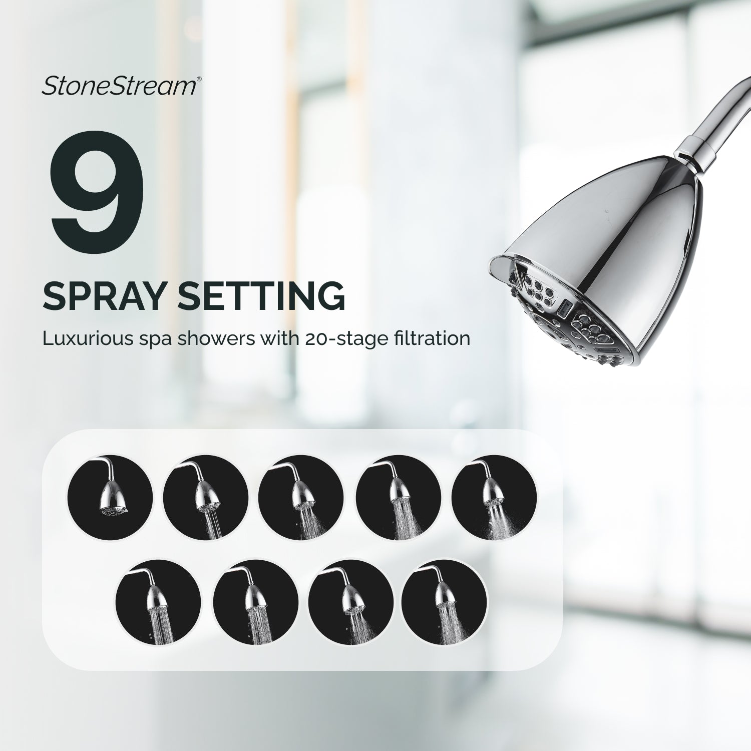 20-Stage Filtration Multi-Mode Ecolux Wall Shower Head